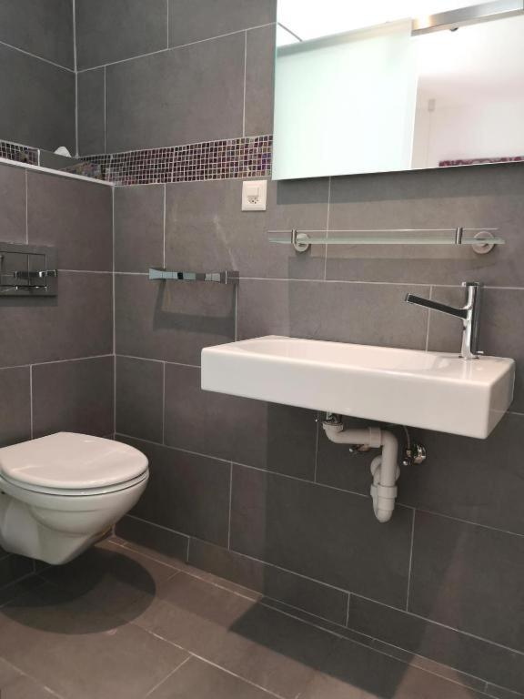 Hotel Du Raisin Lausanne Eksteriør billede